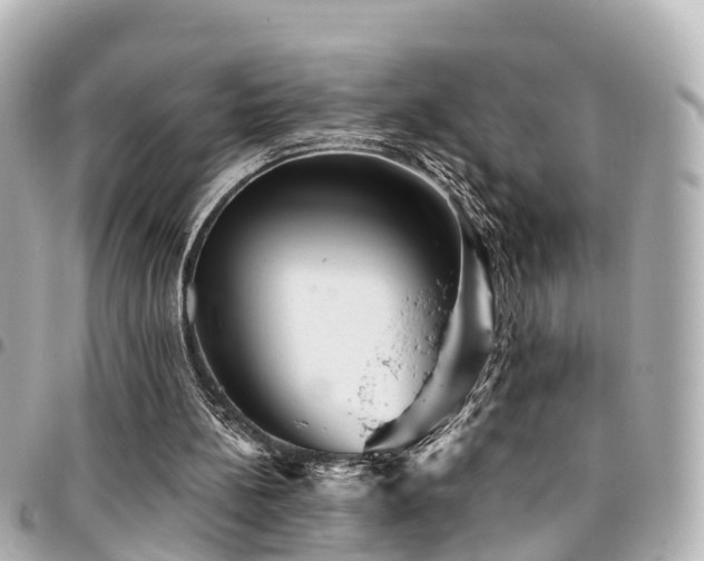 X0000094420148200711081143