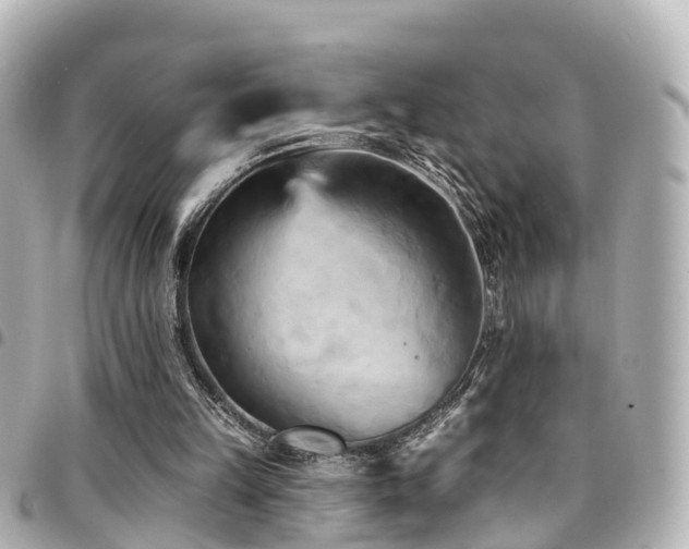 X0000094420149200711081143
