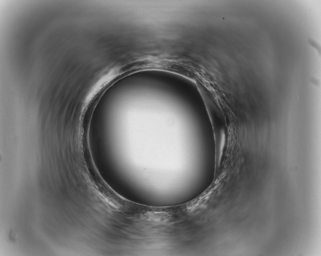 X0000094420150200711081143
