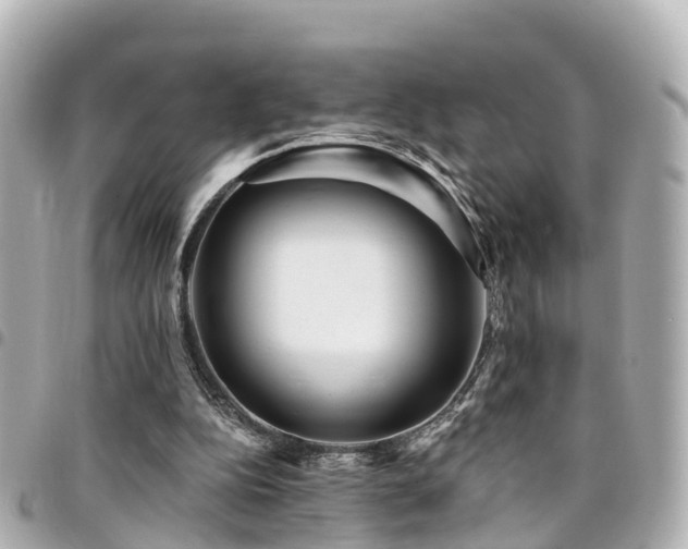 X0000094420152200711081143