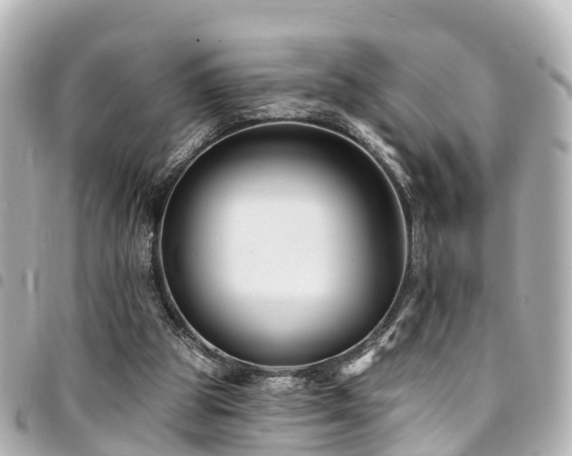 X0000094420153200711081143