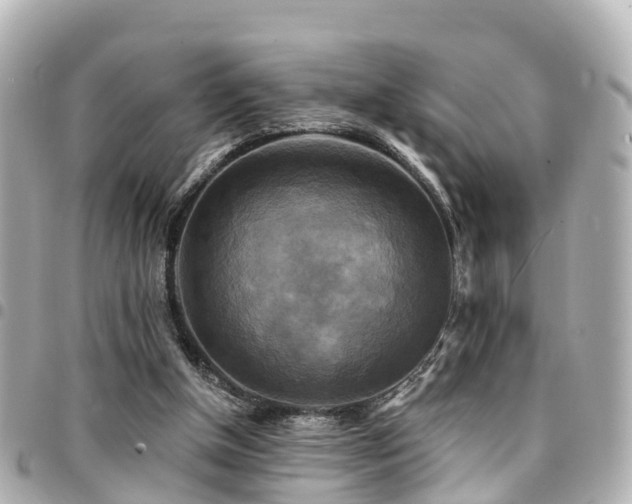 X0000094420154200711081143
