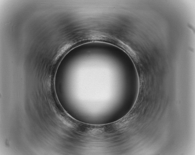 X0000094420155200711081143