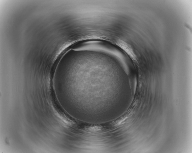 X0000094420156200711081143