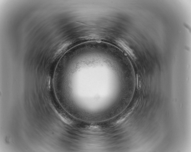X0000094420157200711081143
