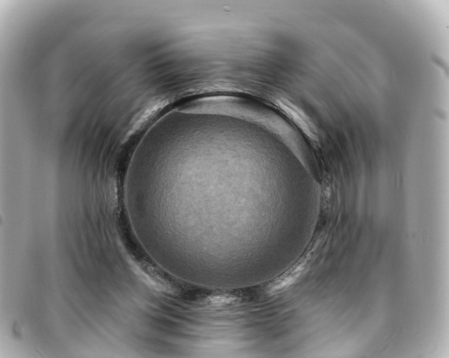 X0000094420158200711081143