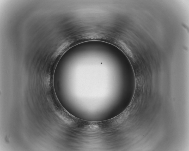 X0000094420159200711081143