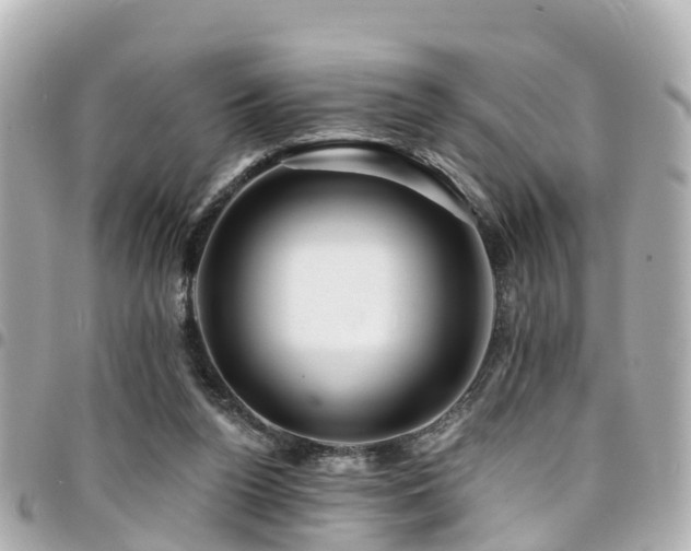 X0000094420160200711081143