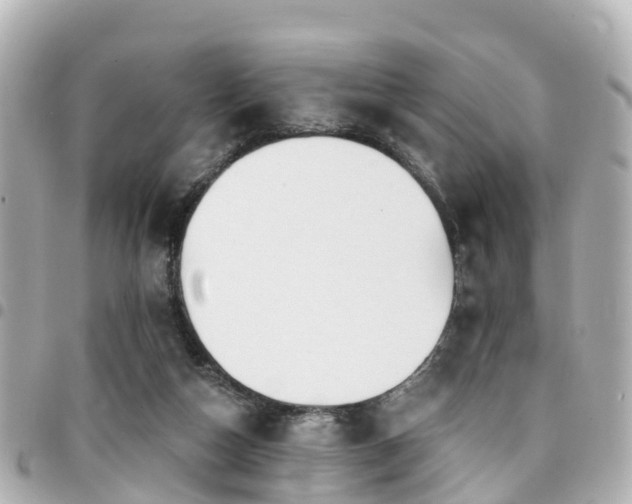 X0000094420162200711081143