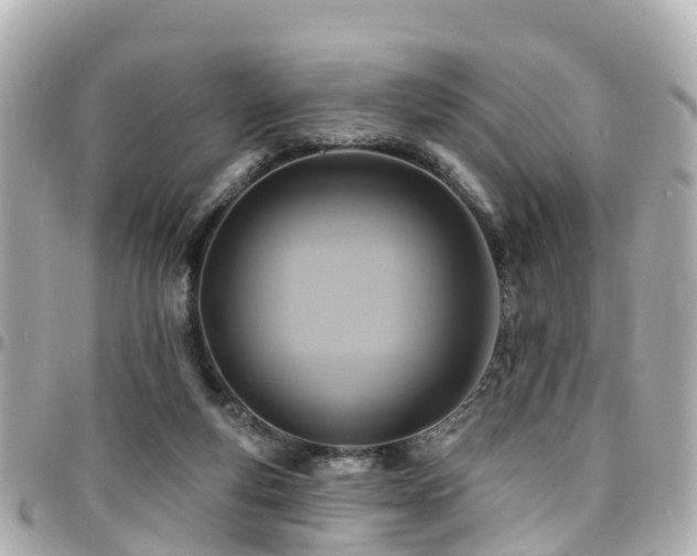 X0000094420163200711081143