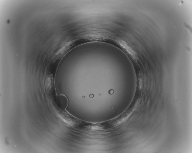 X0000094420165200711081143