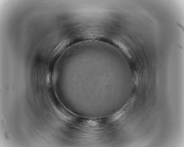 X0000094420166200711081143