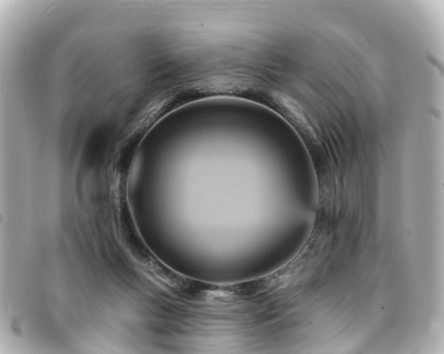 X0000094420167200711081143