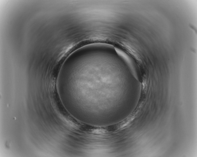 X0000094420168200711081143