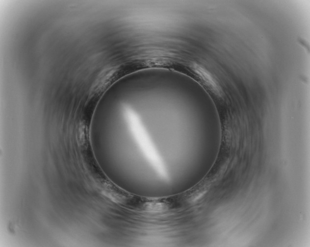 X0000094420169200711081143