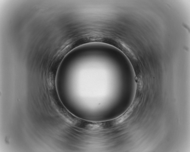 X0000094420170200711081143