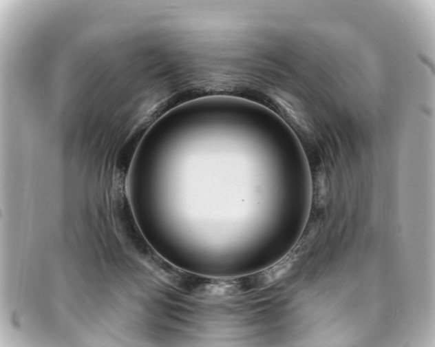 X0000094420172200711081143