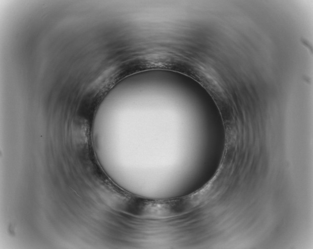 X0000094420174200711081144