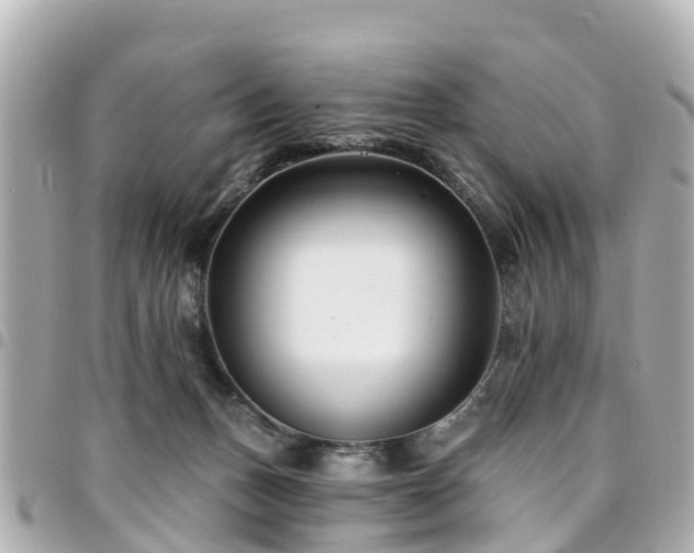 X0000094420175200711081144