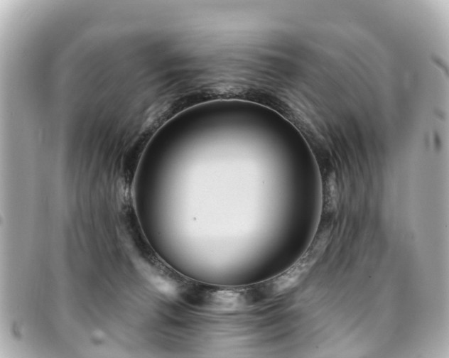 X0000094420176200711081144
