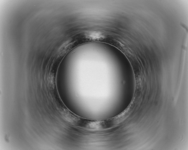 X0000094420178200711081144