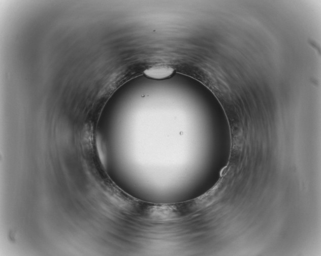 X0000094420179200711081144