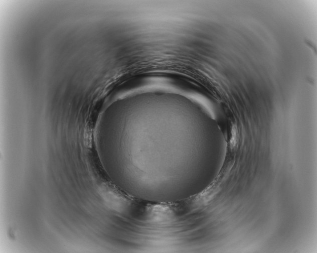 X0000094420180200711081144