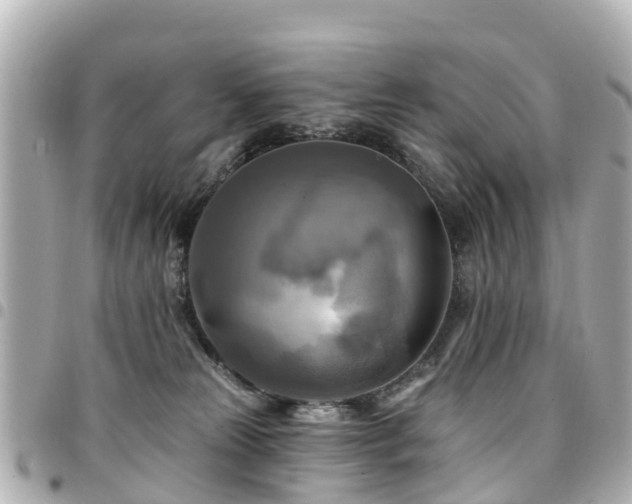 X0000094420181200711081144