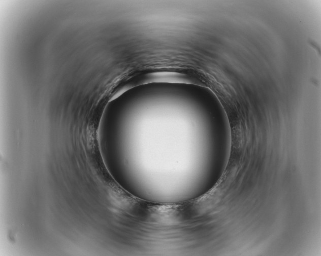 X0000094420184200711081144