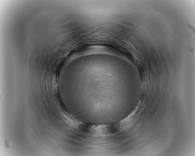 X0000094420186200711081144