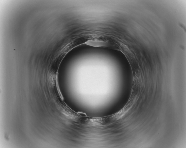 X0000094420188200711081144