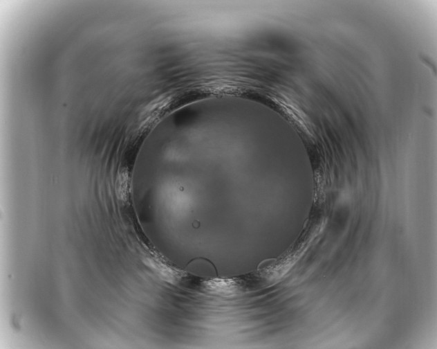 X0000094420189200711081144