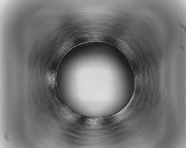 X0000094420190200711081144