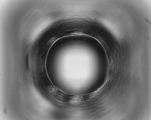 X0000094420191200711081144