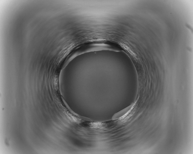 X0000094420192200711081144