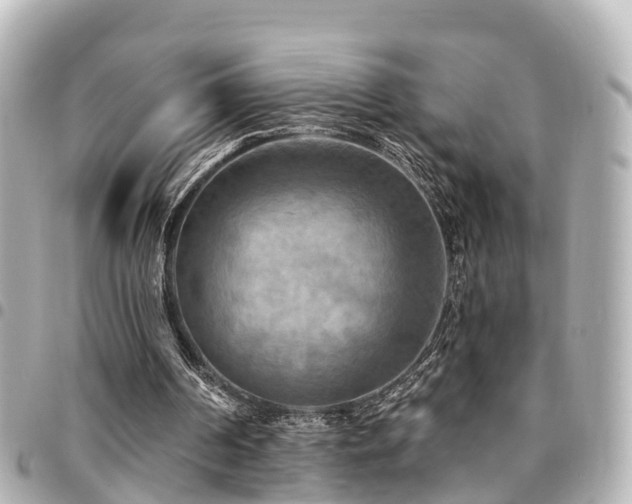 X0000094420194200711081143
