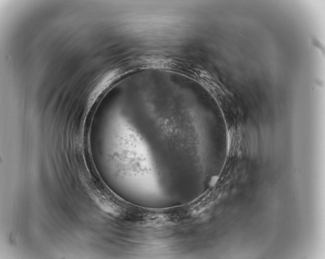 X0000094420195200711081143
