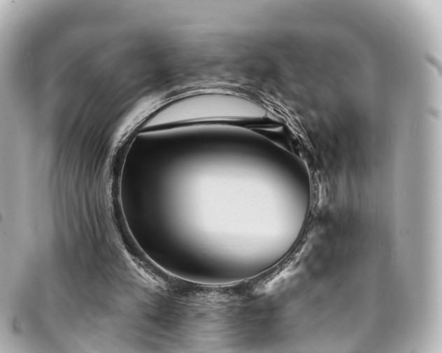 X0000094420197200711081143