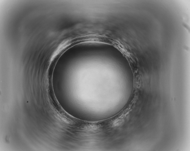 X0000094420198200711081143