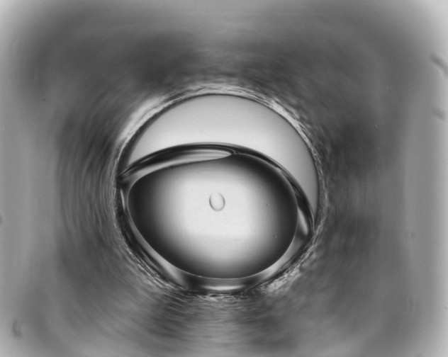 X0000094420199200711081143
