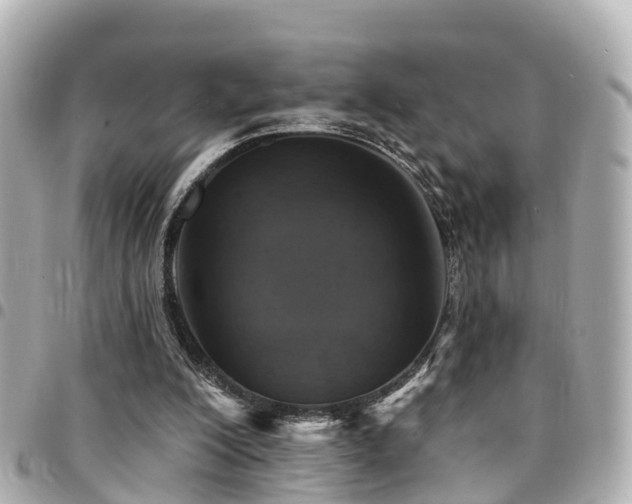 X0000094420200200711081143