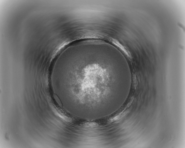 X0000094420203200711081143