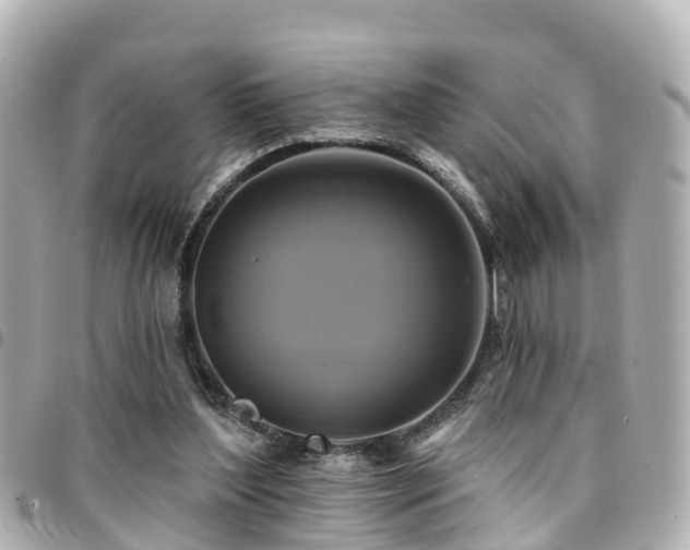 X0000094420204200711081143