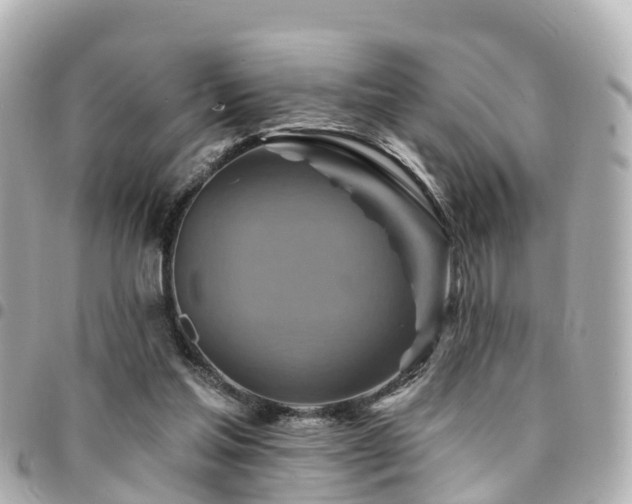 X0000094420205200711081143