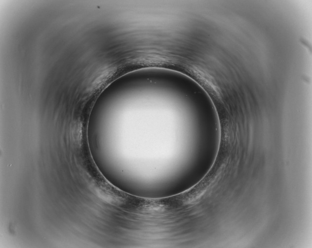 X0000094420206200711081143