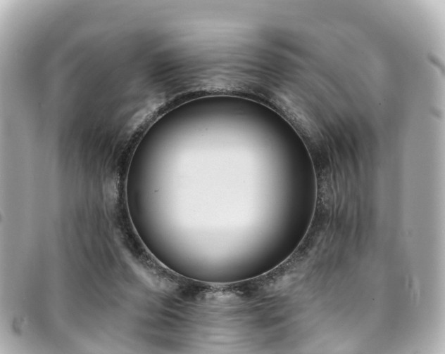 X0000094420208200711081143
