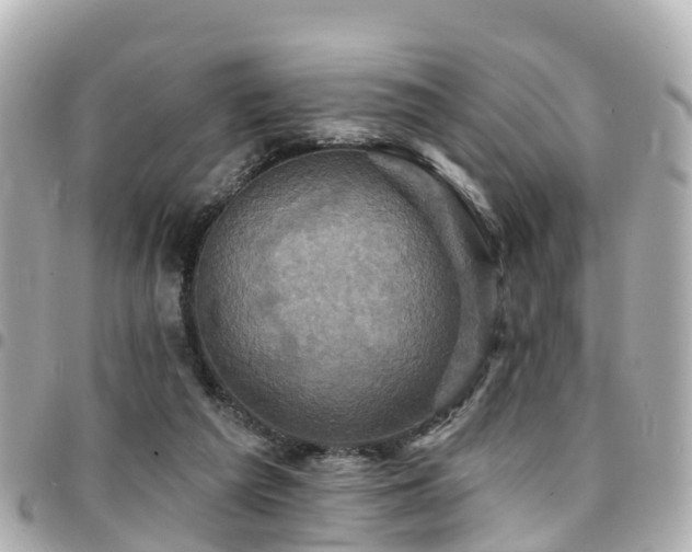 X0000094420209200711081143