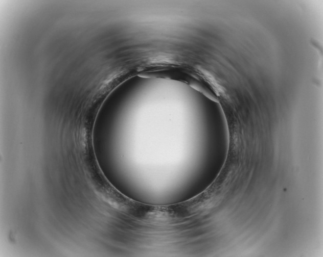 X0000094420211200711081143