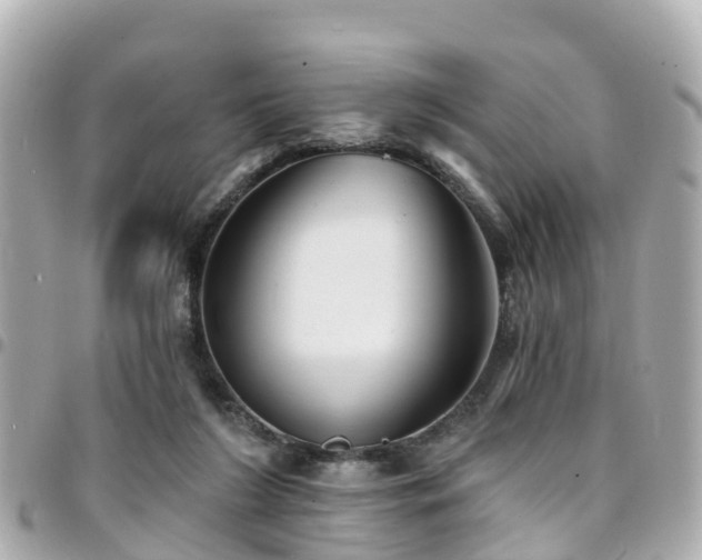 X0000094420212200711081143