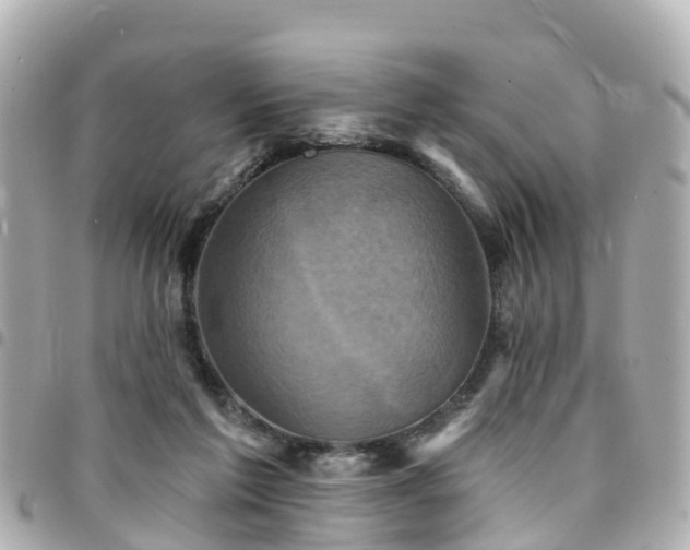 X0000094420213200711081143